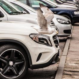 Parkeren in Blankenberge
