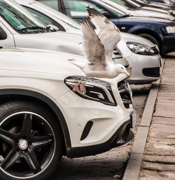 Parkeren in Blankenberge